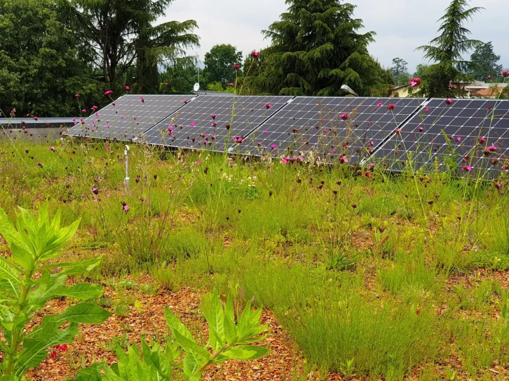 Végétalisation toiture à Sandillon